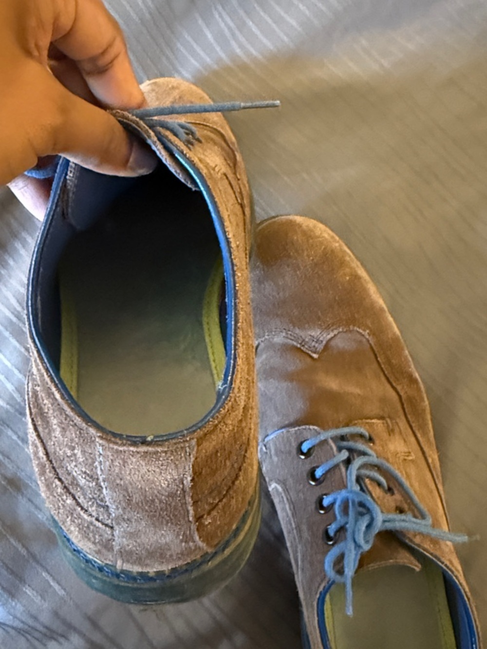 Ted Baker London Brown Suede derby Oxfords with Blue Accents - Picture 11 of 13